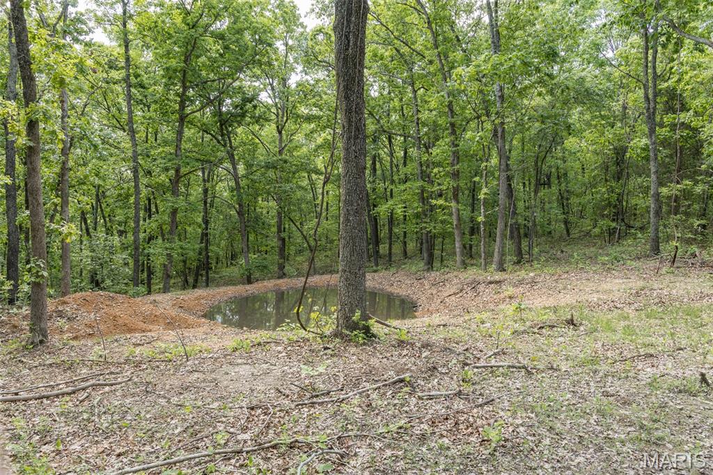 17760 Goose Creek Road Sullivan, MO 63080 - Photo 46 of 99