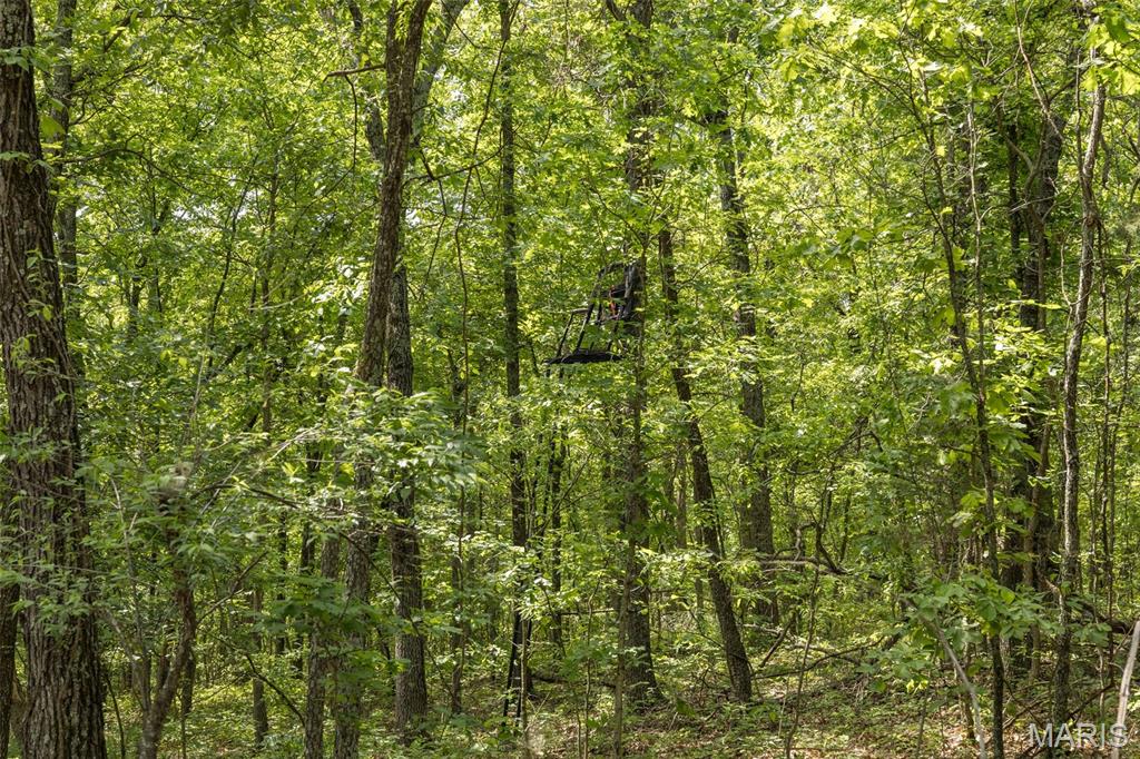 17760 Goose Creek Road Sullivan, MO 63080 - Photo 47 of 99