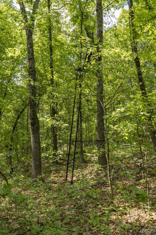 17760 Goose Creek Road Sullivan, MO 63080 - Photo 48 of 99