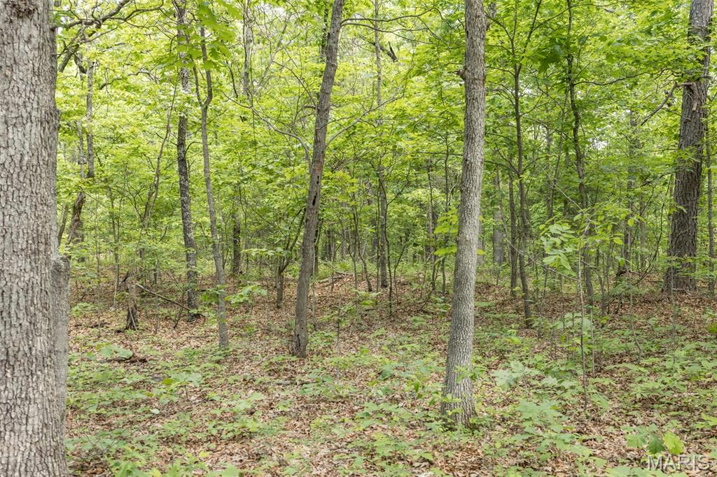 17760 Goose Creek Road Sullivan, MO 63080 - Photo 49 of 99