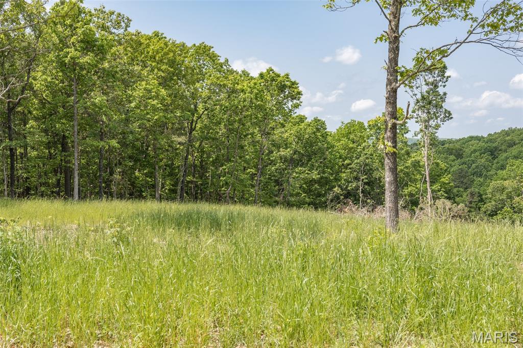 17760 Goose Creek Road Sullivan, MO 63080 - Photo 50 of 99