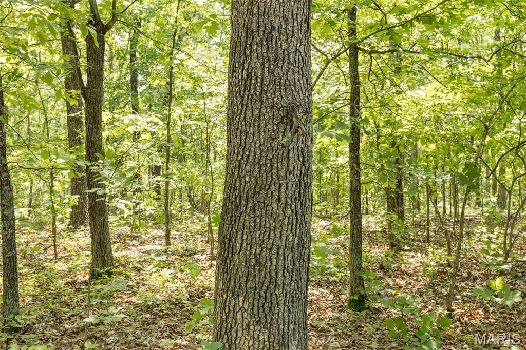 17760 Goose Creek Road Sullivan, MO 63080 - Photo 51 of 99