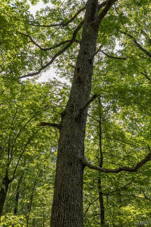 17760 Goose Creek Road Sullivan, MO 63080 - Photo 53 of 99