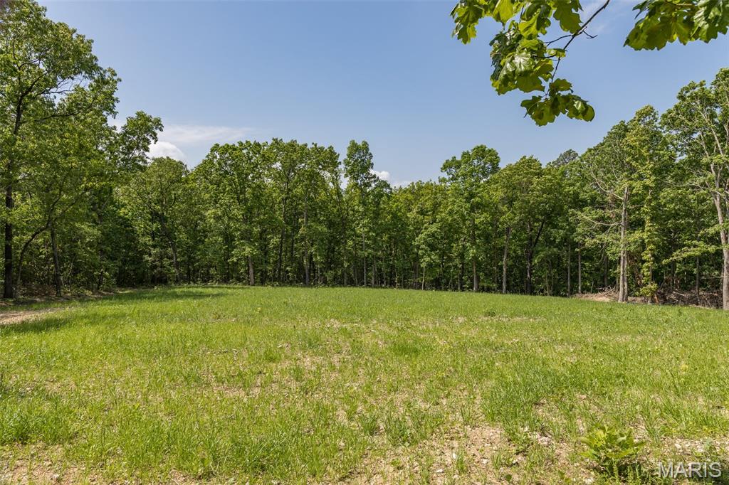 17760 Goose Creek Road Sullivan, MO 63080 - Photo 54 of 99