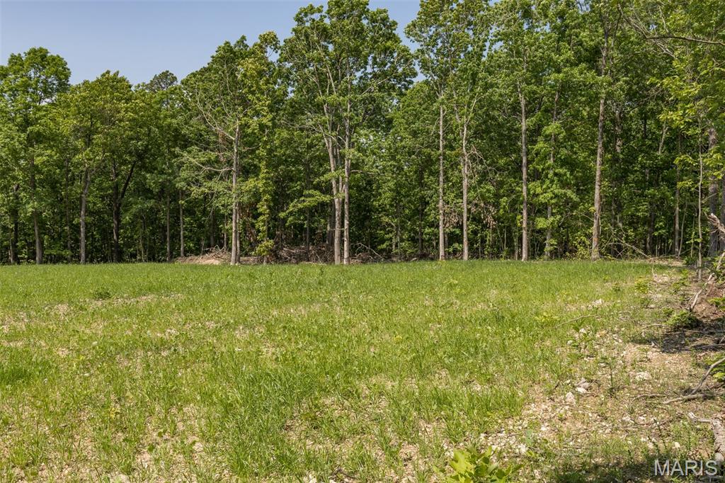 17760 Goose Creek Road Sullivan, MO 63080 - Photo 55 of 99