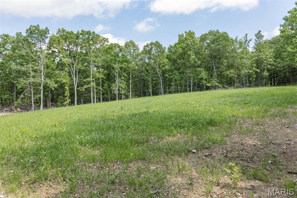 17760 Goose Creek Road Sullivan, MO 63080 - Photo 56 of 99