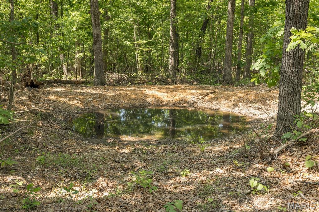 17760 Goose Creek Road Sullivan, MO 63080 - Photo 57 of 99