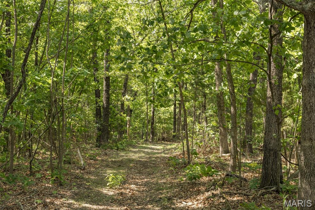 17760 Goose Creek Road Sullivan, MO 63080 - Photo 58 of 99