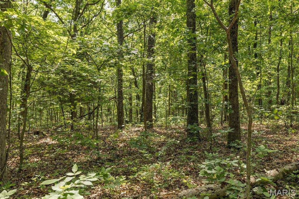 17760 Goose Creek Road Sullivan, MO 63080 - Photo 59 of 99