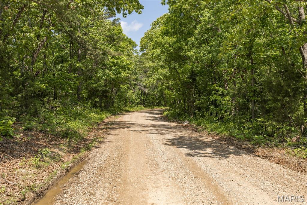 17760 Goose Creek Road Sullivan, MO 63080 - Photo 61 of 99