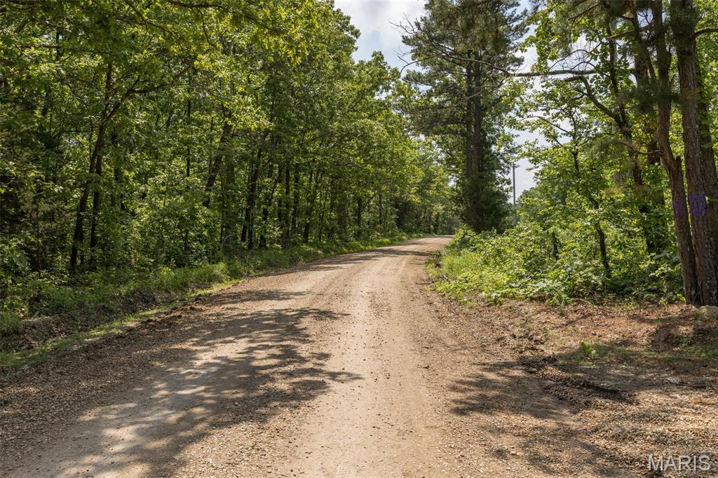 17760 Goose Creek Road Sullivan, MO 63080 - Photo 62 of 99