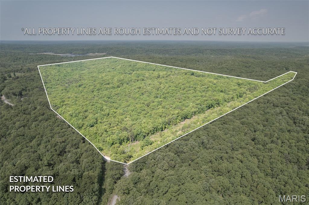 17760 Goose Creek Road Sullivan, MO 63080 - Photo 63 of 99