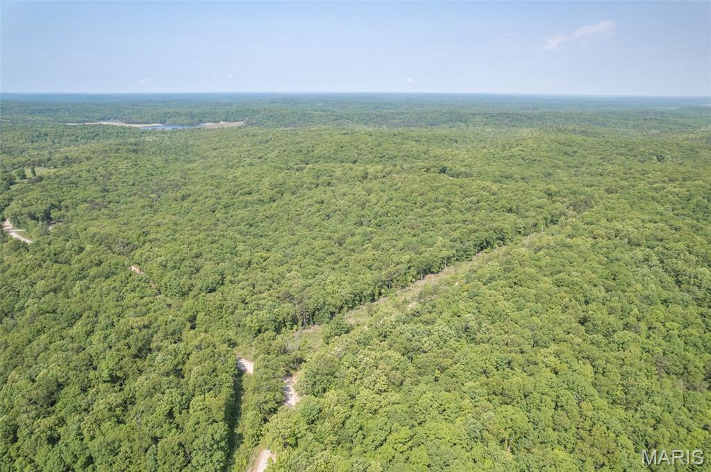 17760 Goose Creek Road Sullivan, MO 63080 - Photo 64 of 99