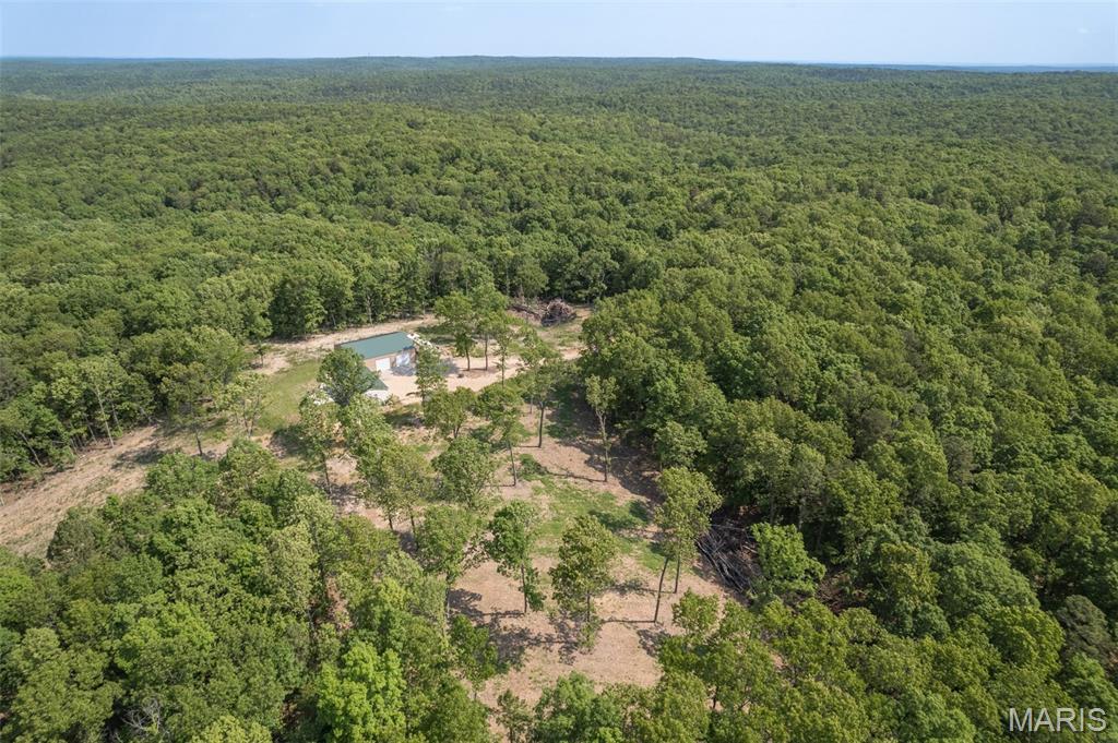 17760 Goose Creek Road Sullivan, MO 63080 - Photo 68 of 99