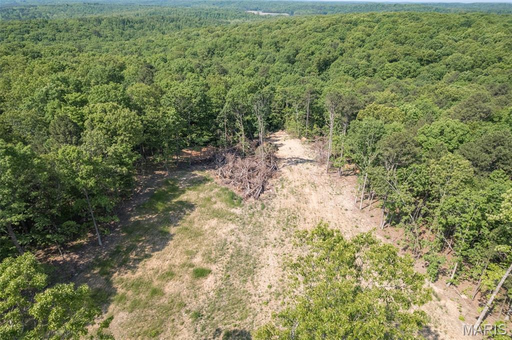 17760 Goose Creek Road Sullivan, MO 63080 - Photo 74 of 99