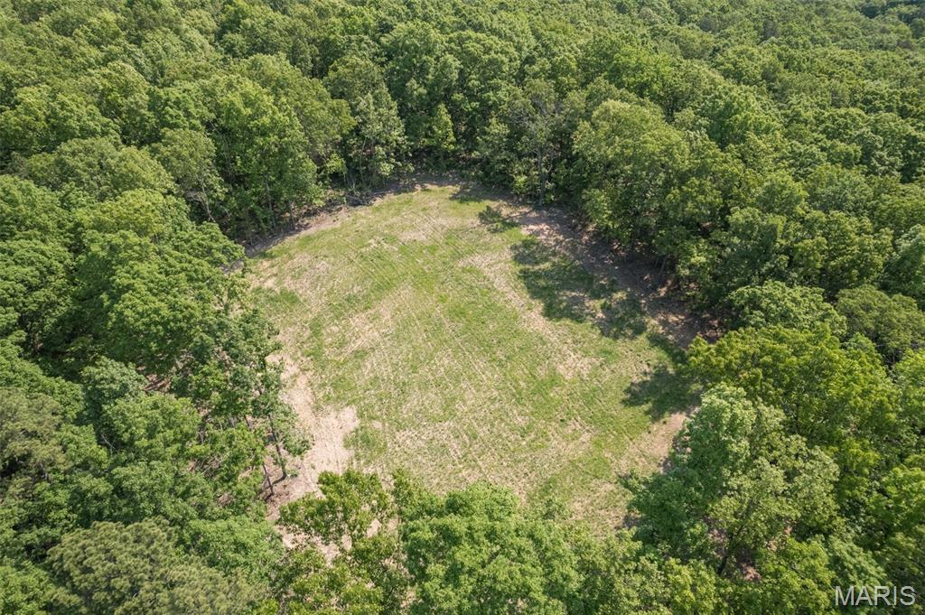 17760 Goose Creek Road Sullivan, MO 63080 - Photo 77 of 99