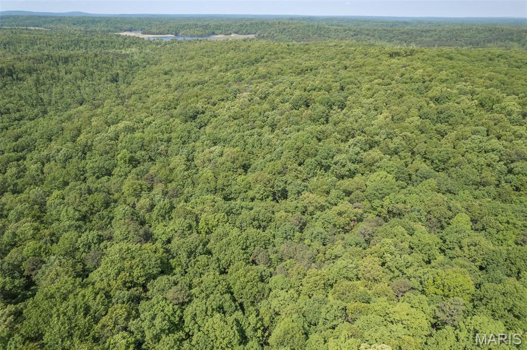 17760 Goose Creek Road Sullivan, MO 63080 - Photo 78 of 99