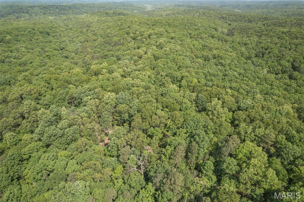 17760 Goose Creek Road Sullivan, MO 63080 - Photo 80 of 99