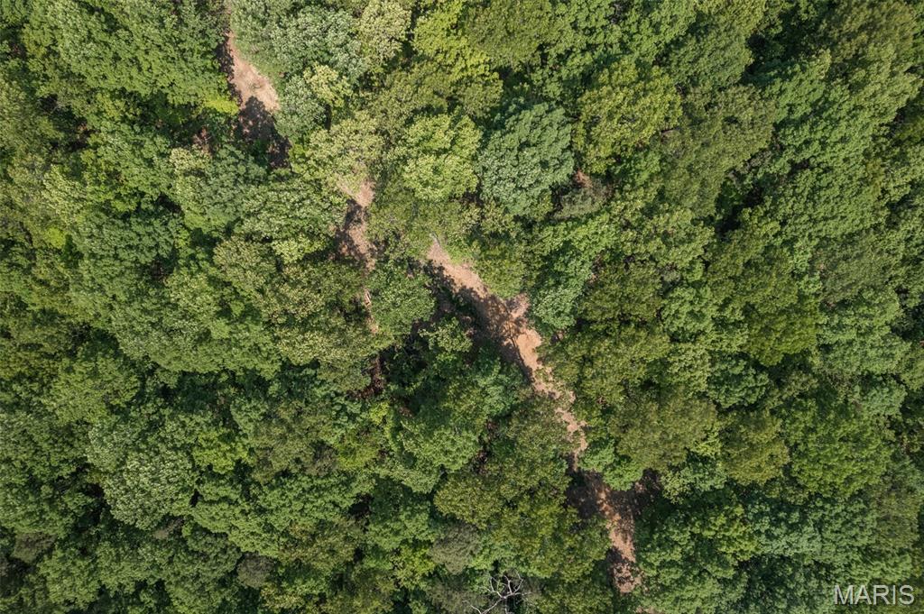 17760 Goose Creek Road Sullivan, MO 63080 - Photo 81 of 99