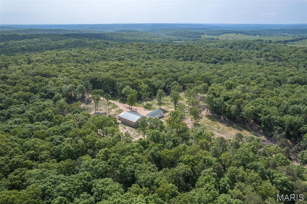 17760 Goose Creek Road Sullivan, MO 63080 - Photo 82 of 99