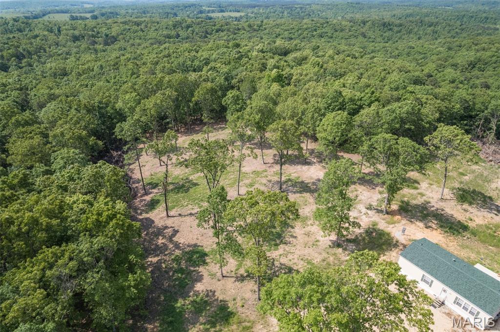 17760 Goose Creek Road Sullivan, MO 63080 - Photo 85 of 99