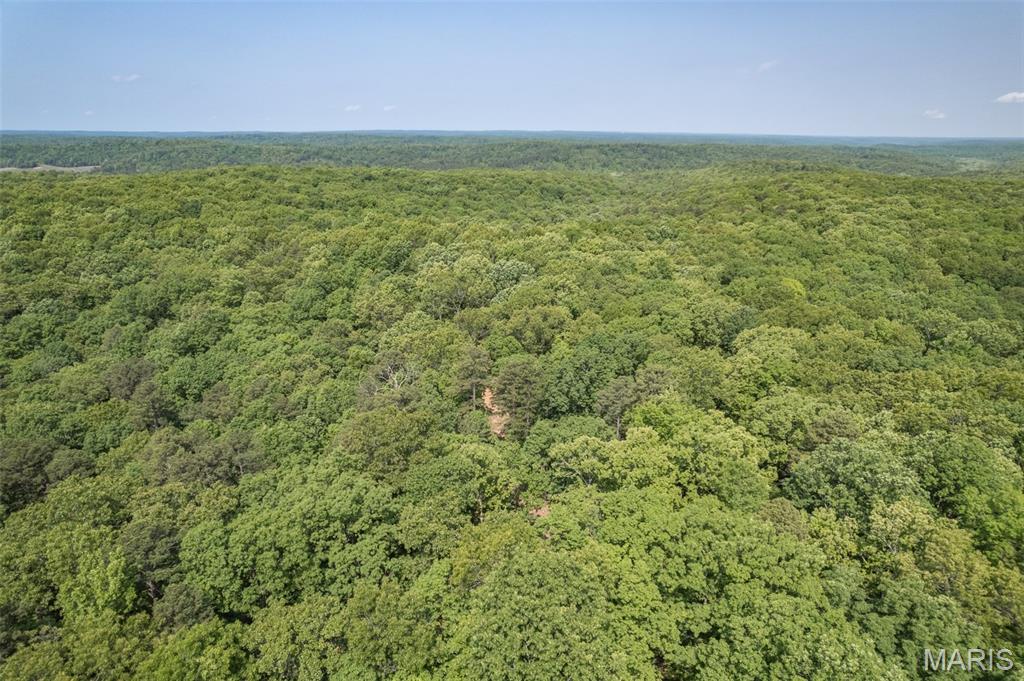 17760 Goose Creek Road Sullivan, MO 63080 - Photo 86 of 99