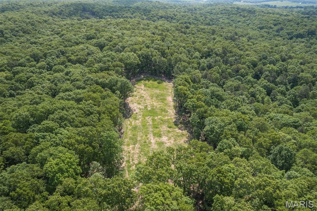 17760 Goose Creek Road Sullivan, MO 63080 - Photo 89 of 99