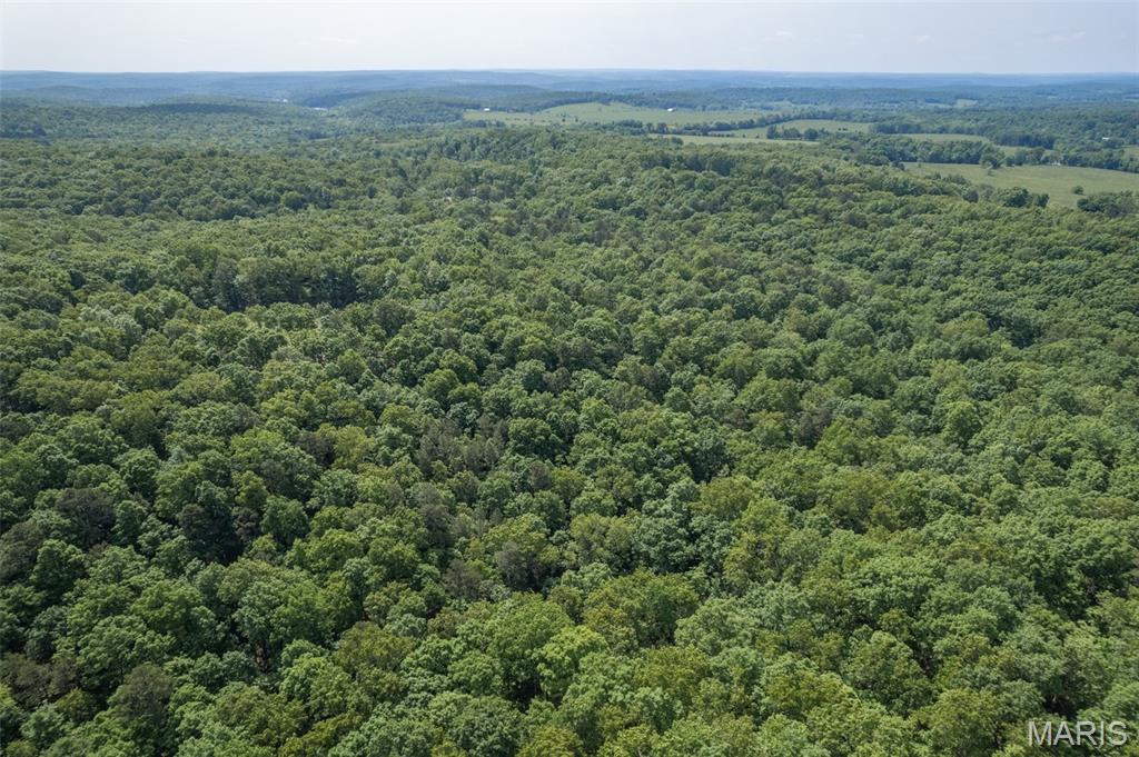 17760 Goose Creek Road Sullivan, MO 63080 - Photo 90 of 99