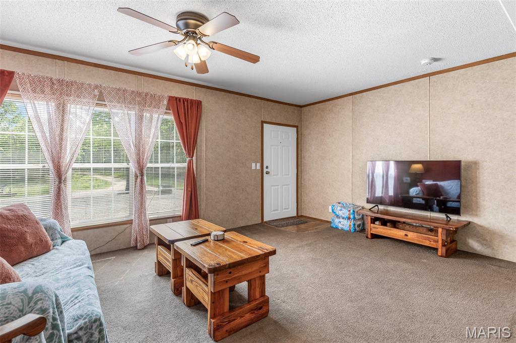 17760 Goose Creek Road Sullivan, MO 63080 - Photo 9 of 99