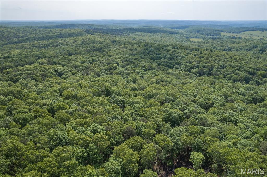 17760 Goose Creek Road Sullivan, MO 63080 - Photo 91 of 99