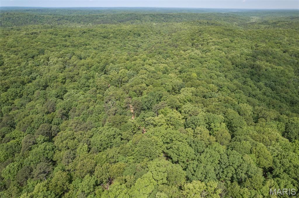 17760 Goose Creek Road Sullivan, MO 63080 - Photo 92 of 99