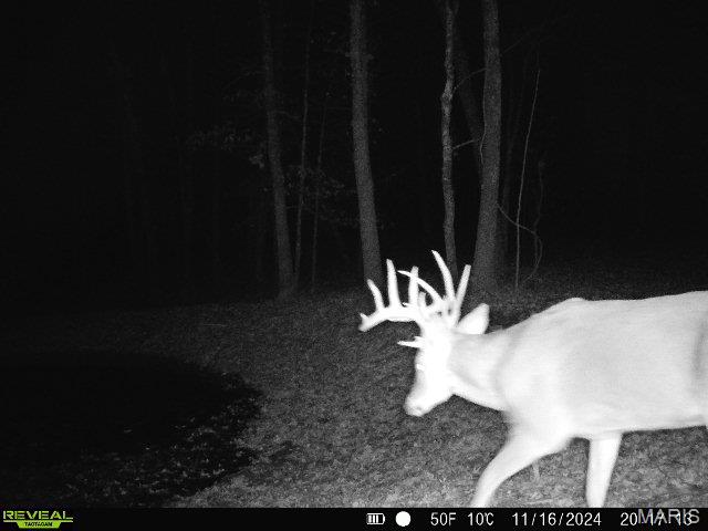 17760 Goose Creek Road Sullivan, MO 63080 - Photo 95 of 99