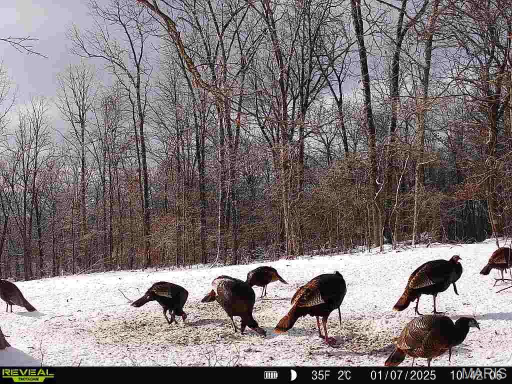 17760 Goose Creek Road Sullivan, MO 63080 - Photo 97 of 99