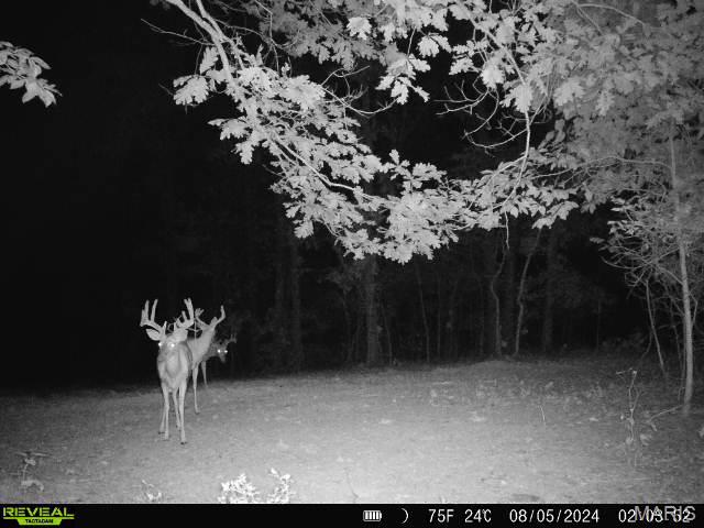 17760 Goose Creek Road Sullivan, MO 63080 - Photo 98 of 99