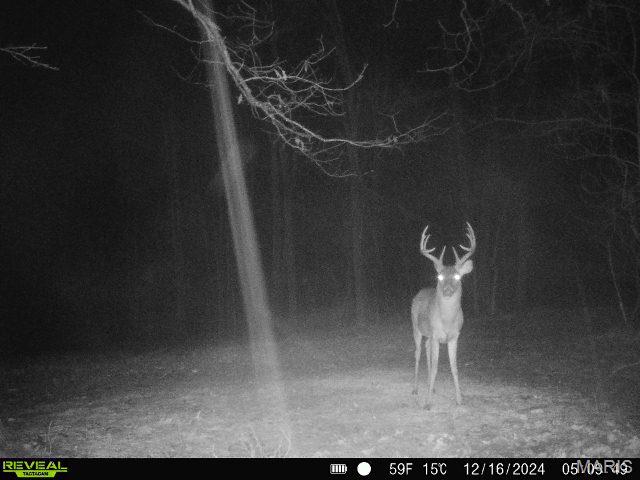 17760 Goose Creek Road Sullivan, MO 63080 - Photo 99 of 99