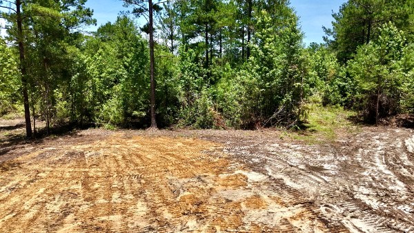 1.32 Acres Airport Road Andalusia, AL 36421 - Photo 10 of 12