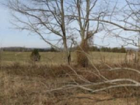 412 Matthews Mill Road Telford, TN 37690 - Photo 5 of 8 Photo 5