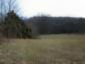 412 Matthews Mill Road Telford, TN 37690 - Photo 6 of 8 Photo 6