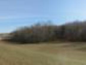 412 Matthews Mill Road Telford, TN 37690 - Photo 7 of 8 Photo 7