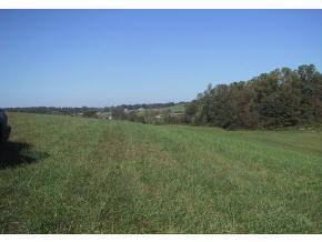 412 Matthews Mill Road Telford, TN 37690 - Photo 8 of 8 Photo 8