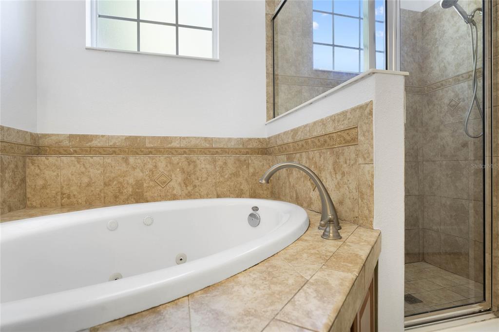 5270 Rishley Run Way Mount Dora, FL 32757 - Photo 21 of 46