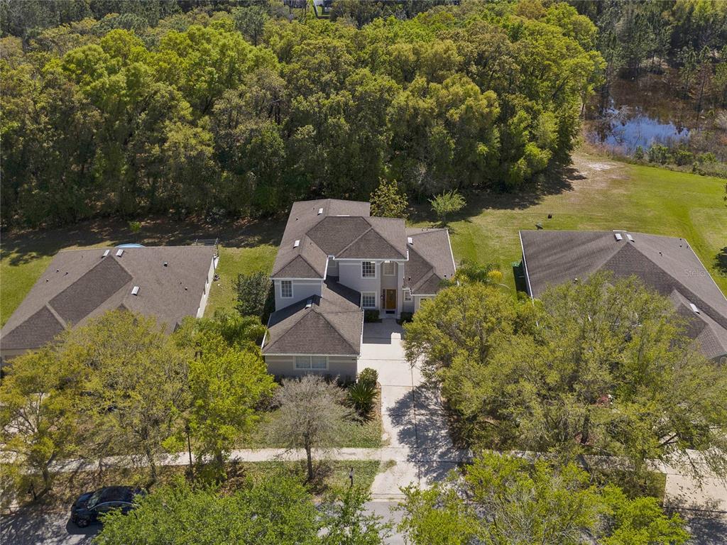 5270 Rishley Run Way Mount Dora, FL 32757 - Photo 39 of 46