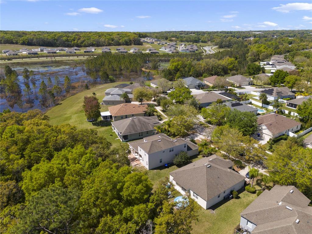 5270 Rishley Run Way Mount Dora, FL 32757 - Photo 42 of 46