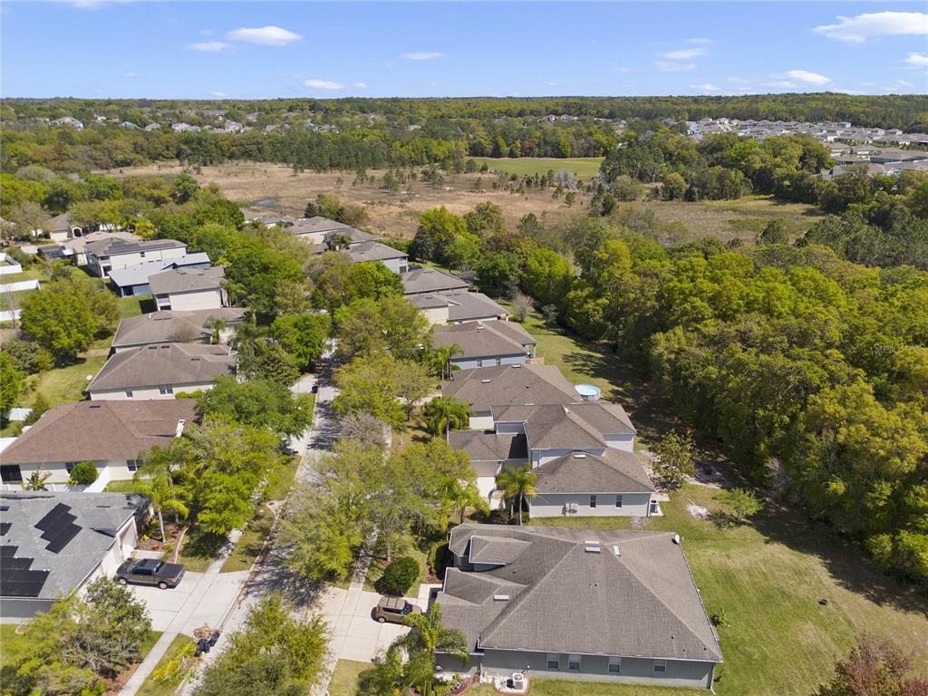 5270 Rishley Run Way Mount Dora, FL 32757 - Photo 46 of 46