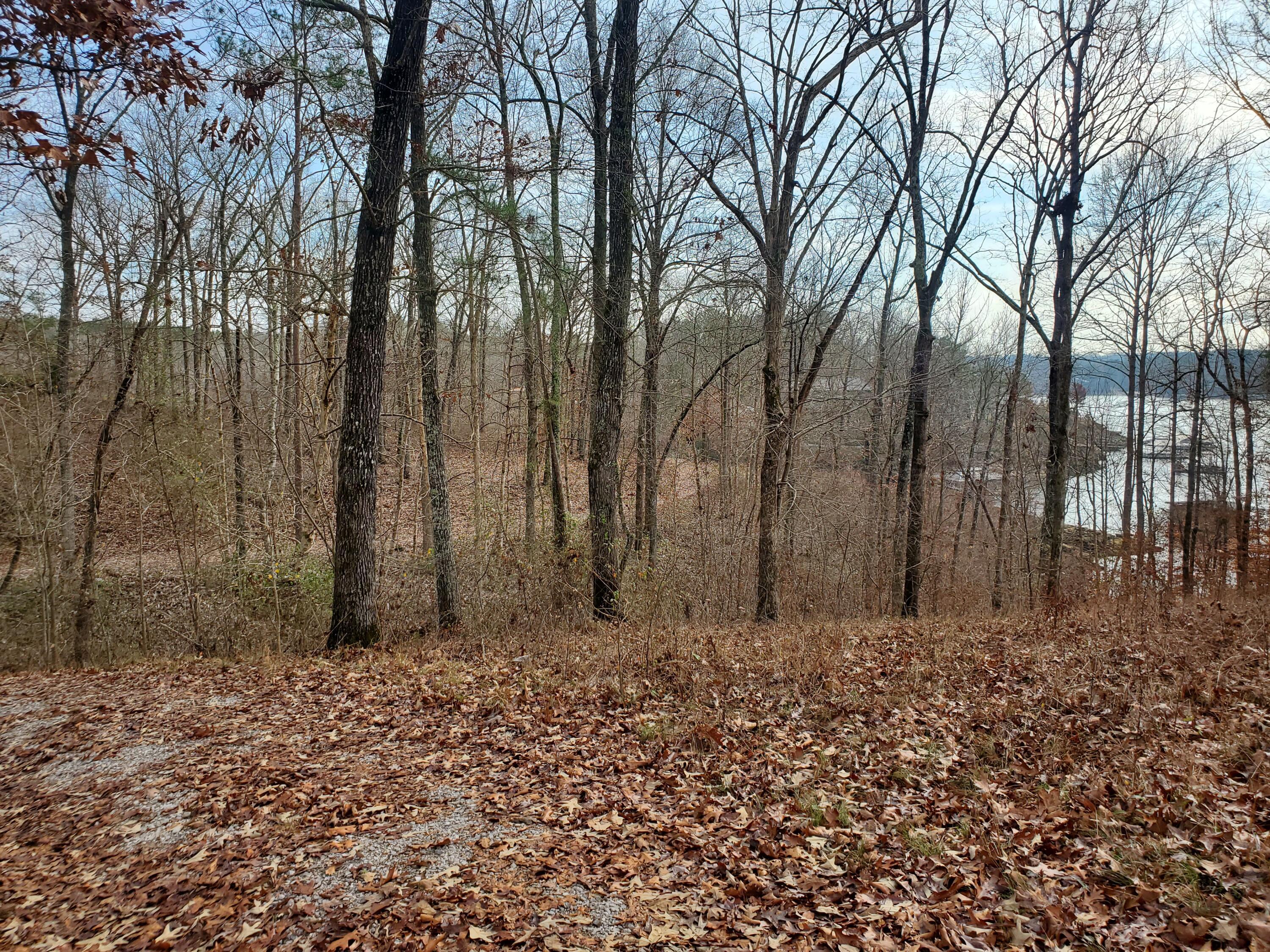 357 Sipsey Pines Road Arley, AL 35541 - Photo 14 of 20 Gallery Image 14