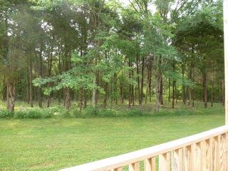 7244 Murfreesboro Road Lebanon, TN 37090 - Photo 3 of 13