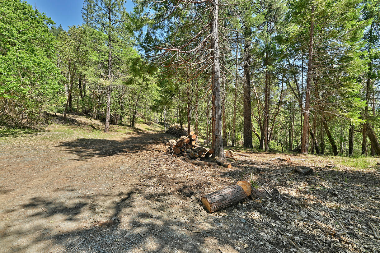646 Winona Road Grants Pass, OR 97526 - Photo 34 of 40 DSC_9970