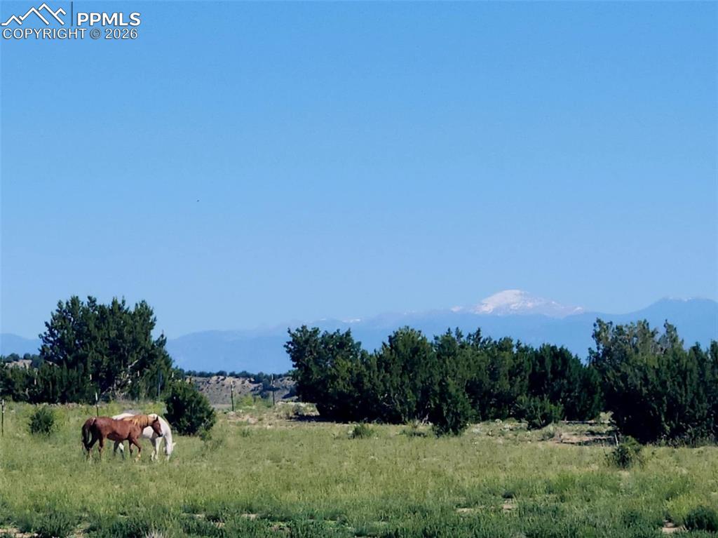 7480 Red Creek Springs Road West Pueblo, CO 81005 - Photo 36 of 47 a view of a field with a tree in the background