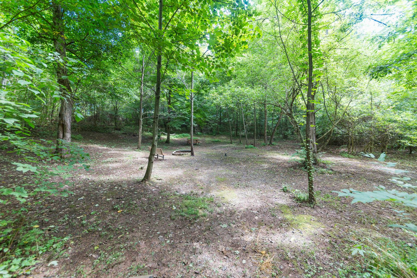 6345 Roy Pearson Road Springfield, TN 37172 - Photo 29 of 30 a view of outdoor space with trees