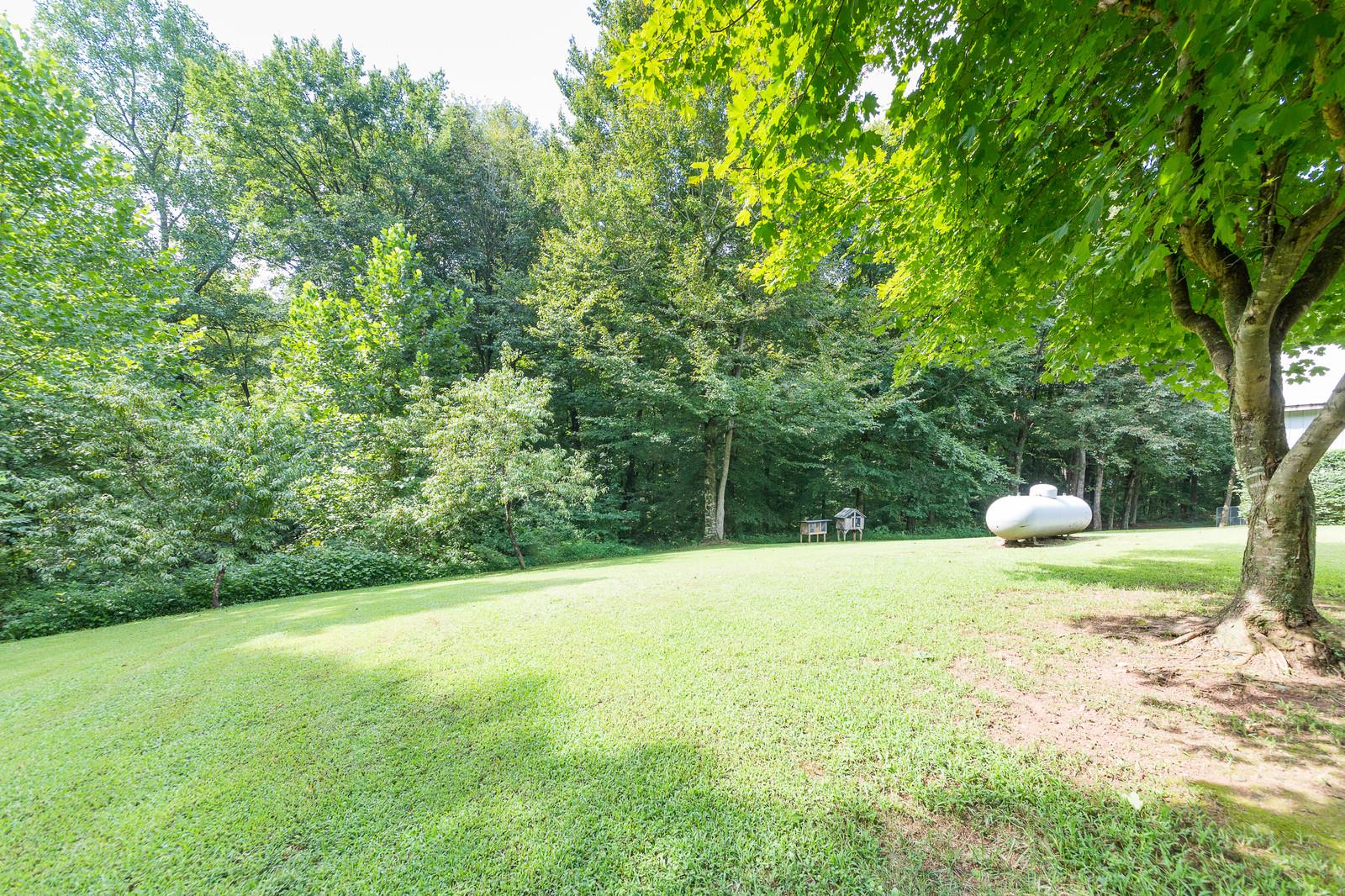 6345 Roy Pearson Road Springfield, TN 37172 - Photo 30 of 30 a view of a tree with a yard